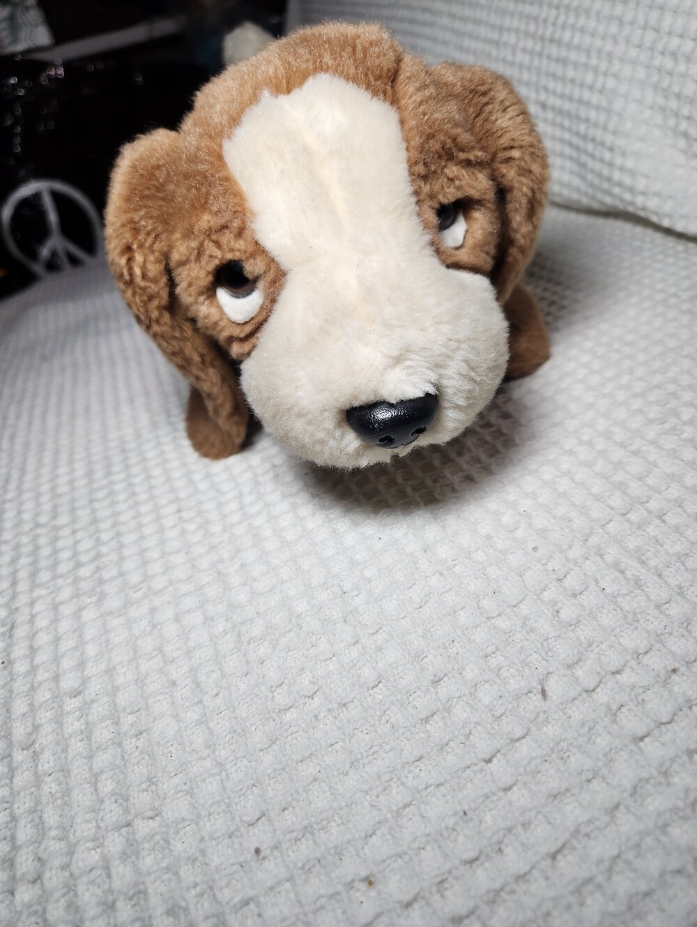 Ty Beanie Buddy Tracker the Basset Hound plush toy - Picture 6 of 15